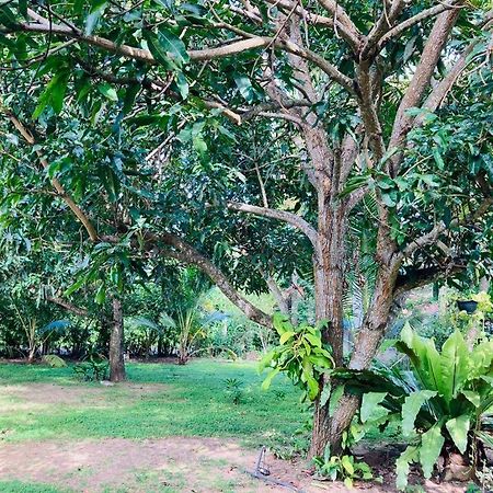 Glorious Villa تانجالي المظهر الخارجي الصورة
