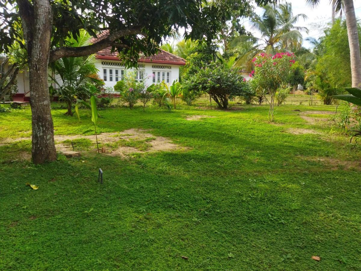 Glorious Villa تانجالي المظهر الخارجي الصورة
