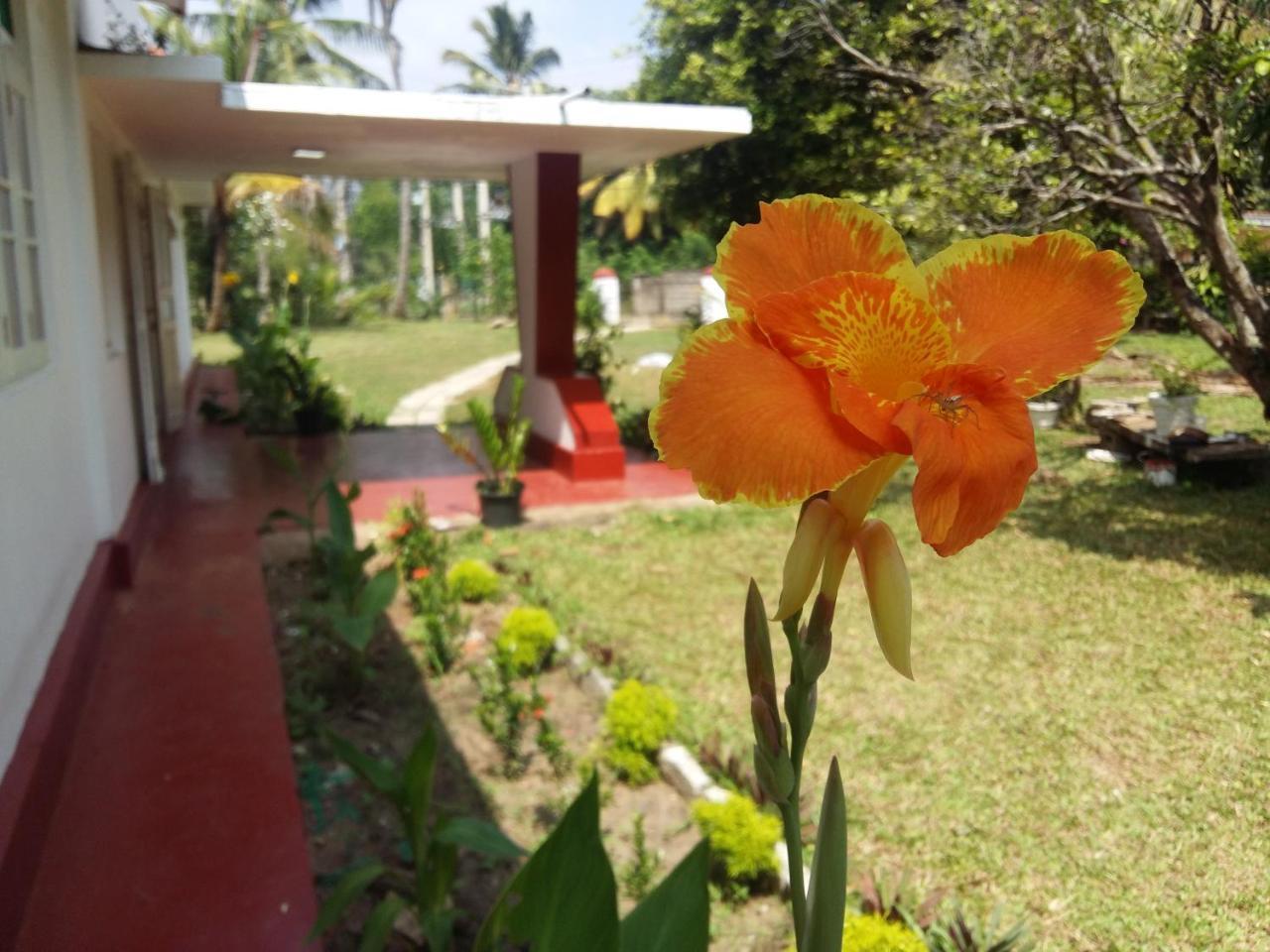 Glorious Villa تانجالي المظهر الخارجي الصورة