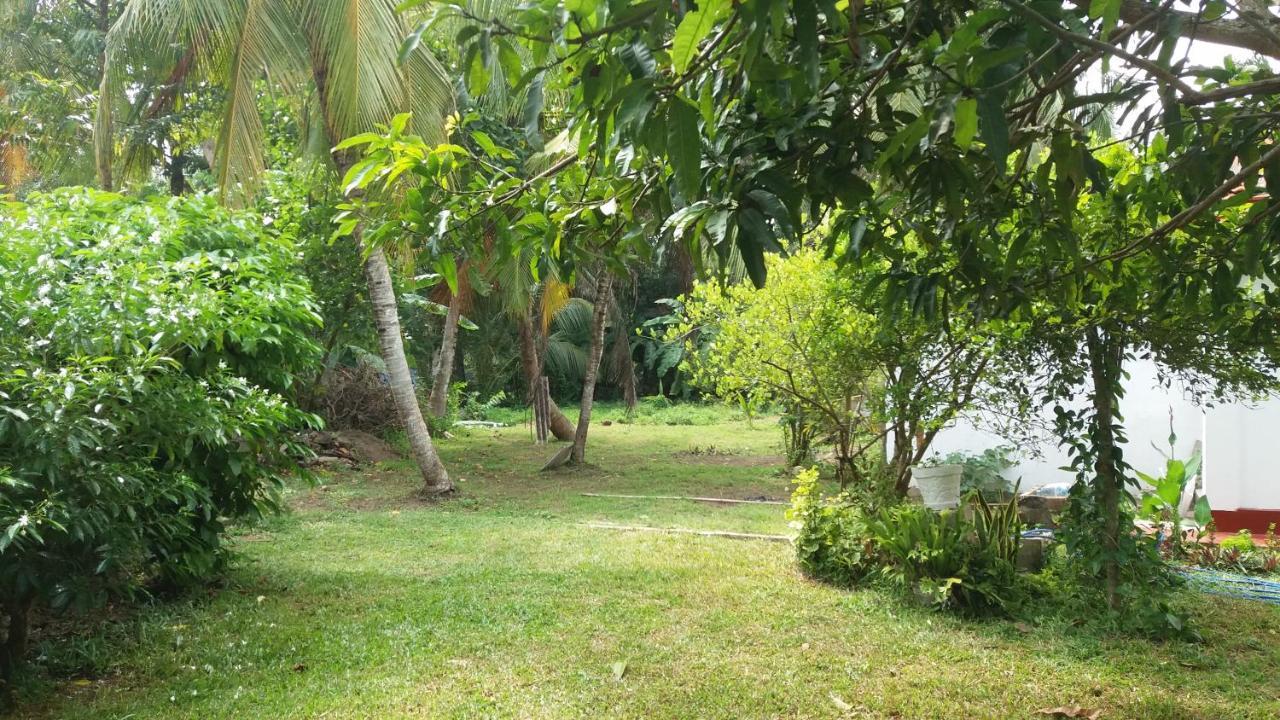 Glorious Villa تانجالي المظهر الخارجي الصورة
