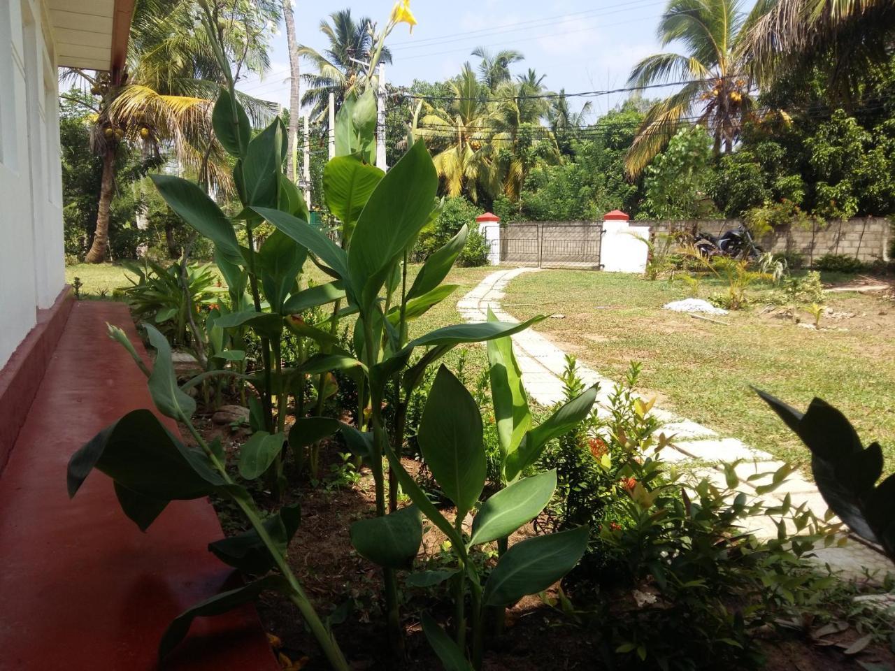 Glorious Villa تانجالي المظهر الخارجي الصورة